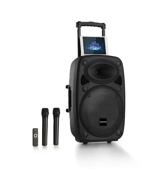 Акустическая система Auna Streetstar 2.0 15" Bluetooth USB SD и микрофонами (33723803)