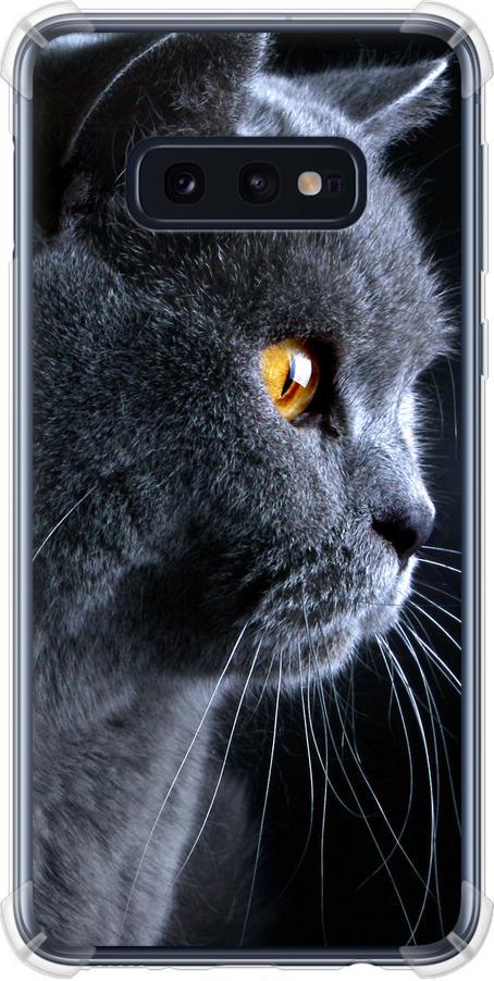 Чехол на Samsung Galaxy S10e Красивый кот (3038sp-1646-42517)