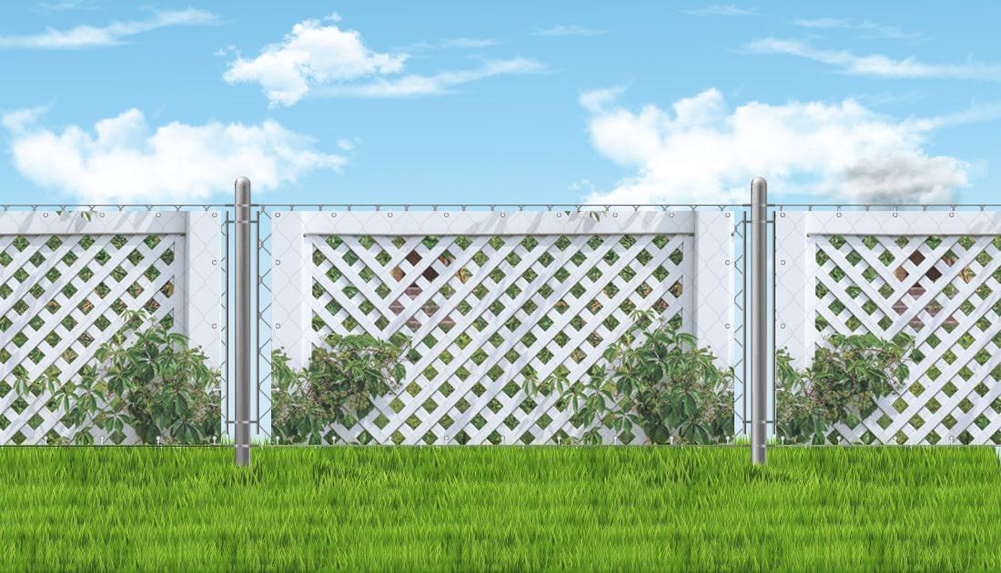 Фотосетка Забор с виноградом 800925 4х2 м (25442792) - фото 2 Фотосетка Забор с виноградом 800925 4х2 м (25442792) - фото 2