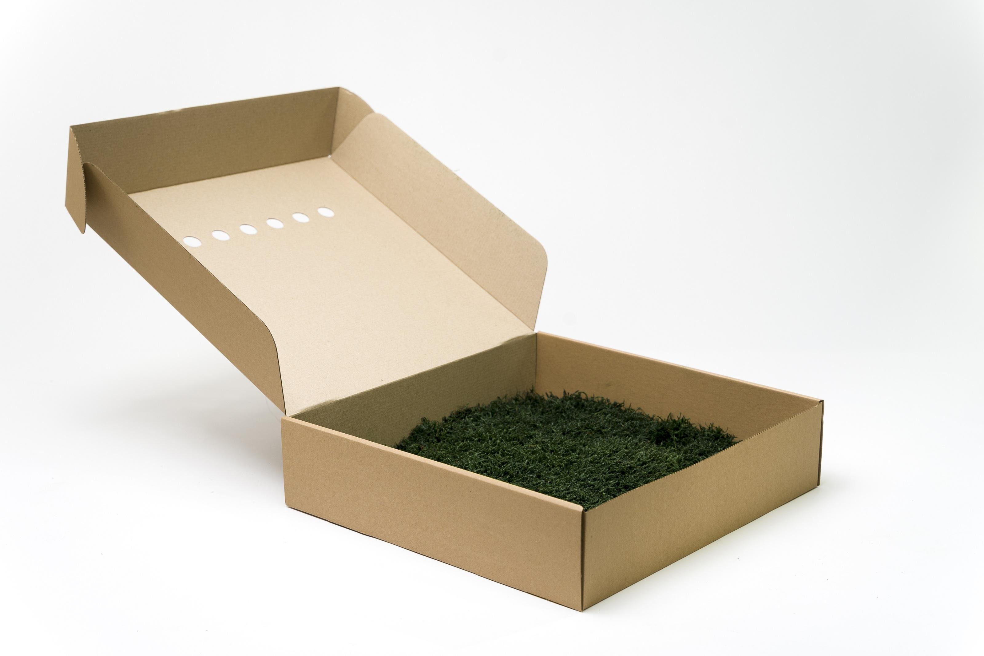 Стабилизированный мох Organic Design Плоский 0,3 м2 Dark Green (304-10)