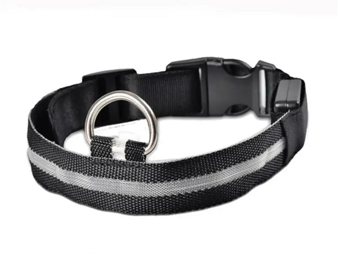 Ошейник LED светящийся для собак и кошек Black Size L Ширина 2.5 см Длина 41-52 см