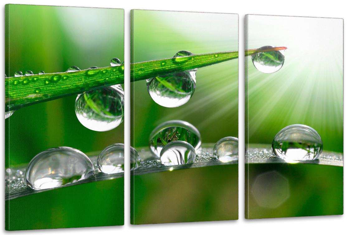 Картина модульная в гостиную/спальню Капли росы 100х150 см (ART-308_3A)