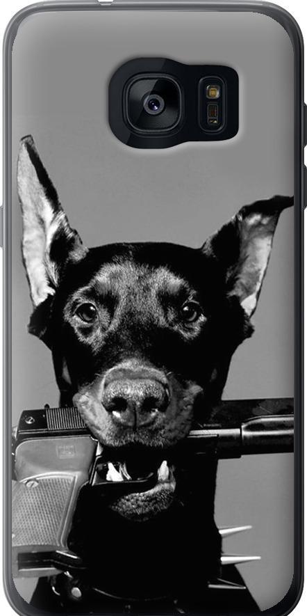 Чехол на Samsung Galaxy S7 Edge G935F Доберман (2745t-257-42517)