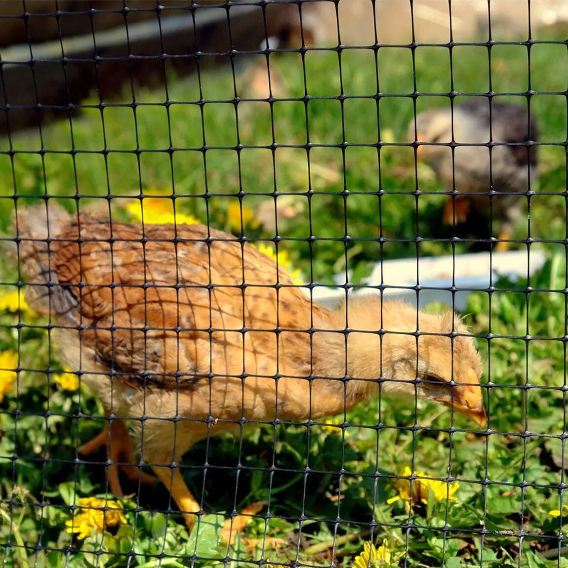 Сетка защитная от птиц Птичка 2x100 м ячейка 30х35 мм Черный (676) - фото 17 Сетка защитная от птиц Птичка 2x100 м ячейка 30х35 мм Черный (676) - фото 17