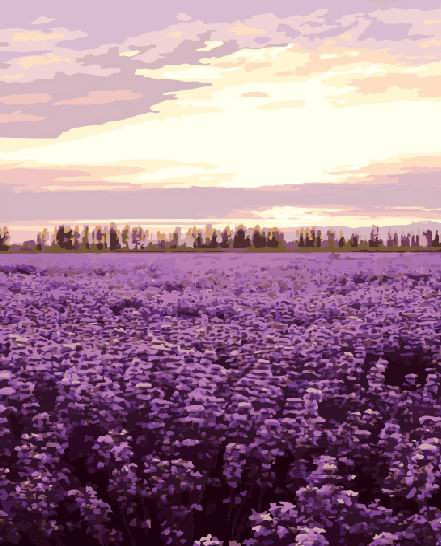 Картина по номерам Brushme Лавандовое поле (GX7942)