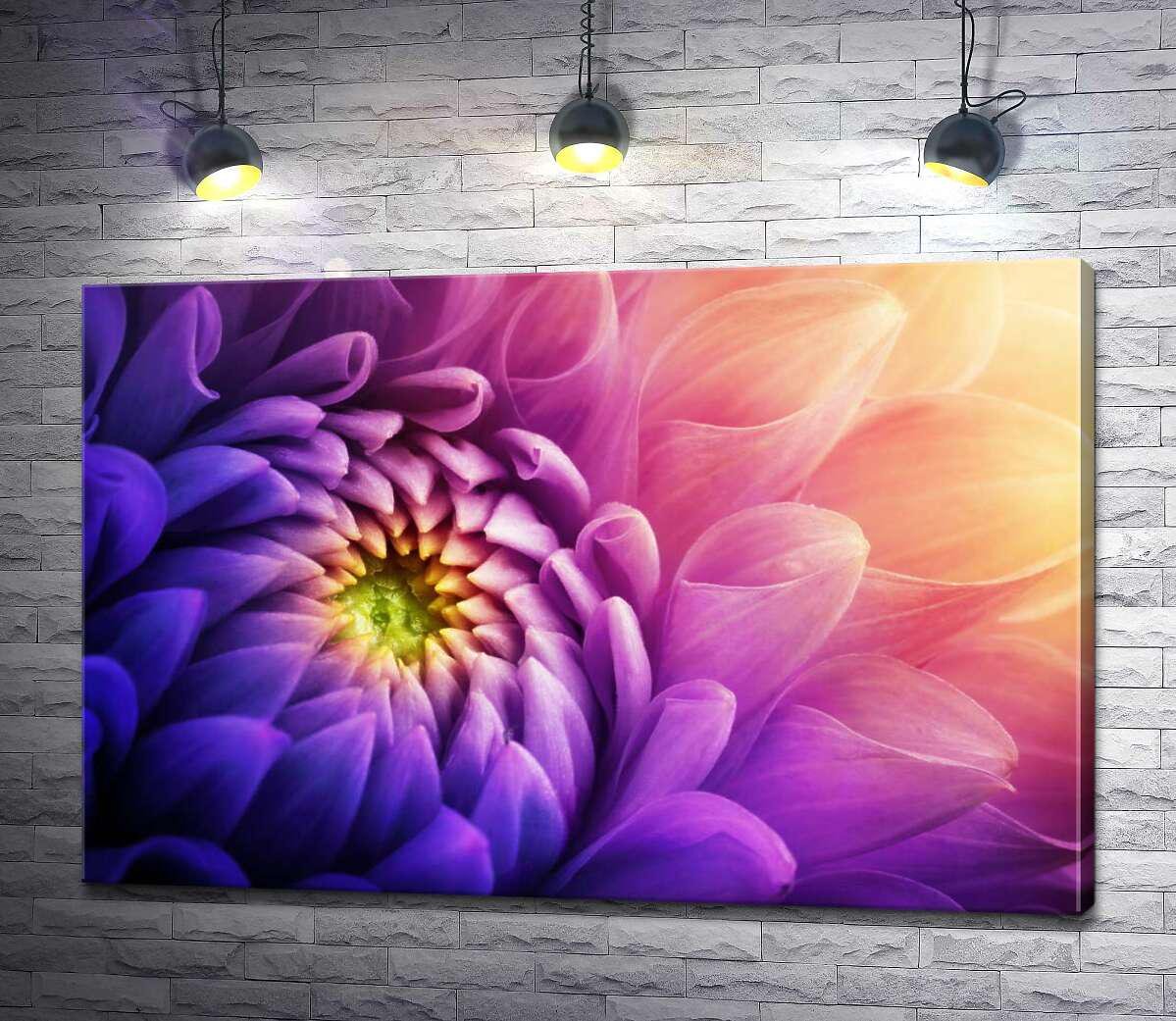 Картина ArtPoster Пурпурові пелюстки хризантеми, омиті жовтим сяйвом 130x87 см Модуль №1 (000382)