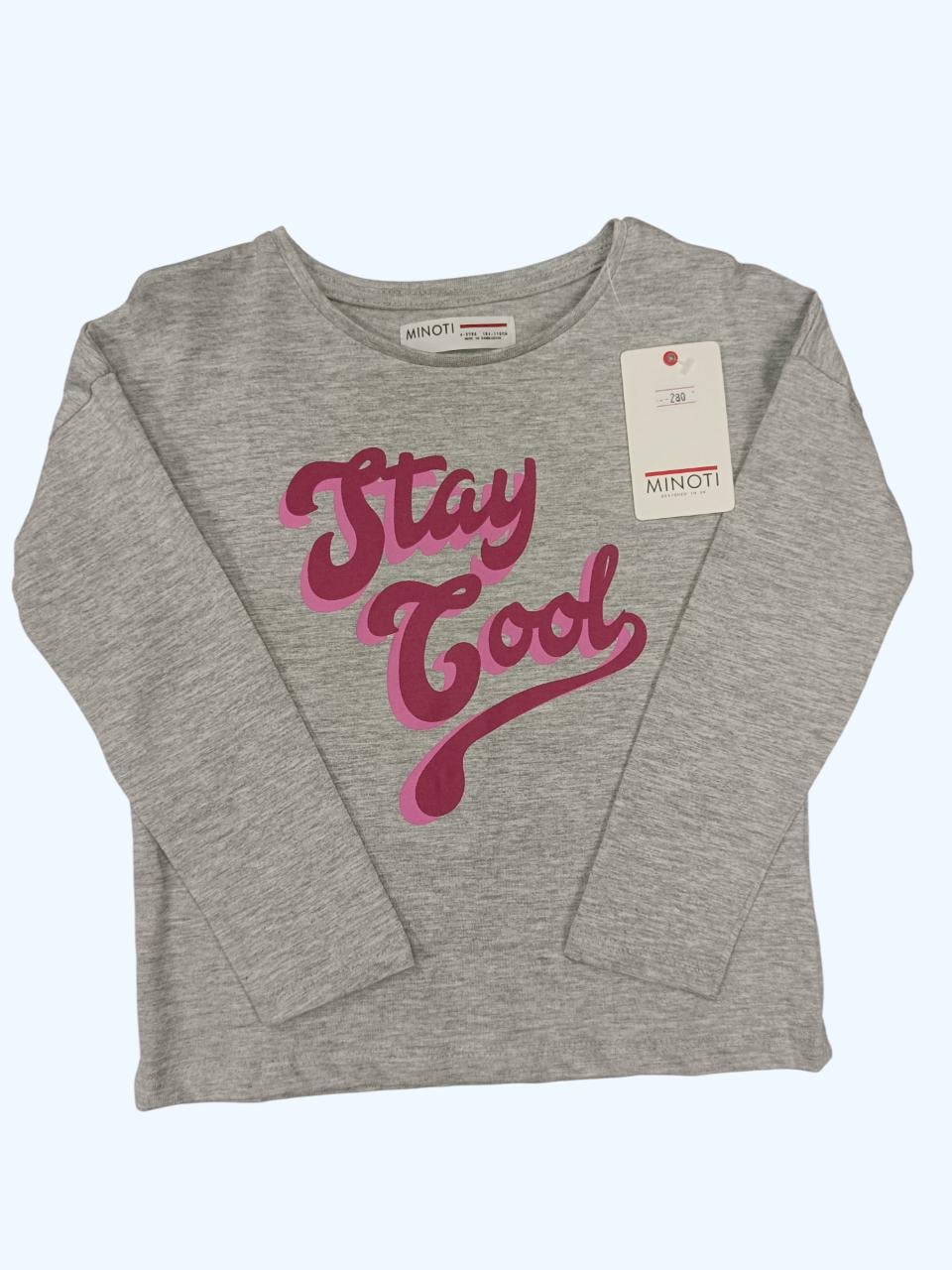 Лонгслів дитячий для дівчинки Minoti 110 см Сірий (0268)