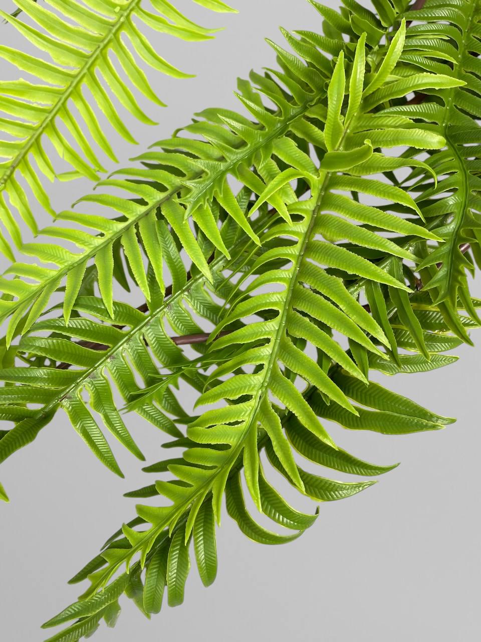 Искусственный ампельный папоротник 120 см Зеленый (Р01023) - фото 4 Искусственный ампельный папоротник 120 см Зеленый (Р01023) - фото 4