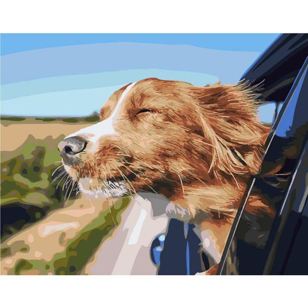 Картина по номерам Strateg Животные Чувство свободы 40х50 см в термопакете (SY6347-mt)