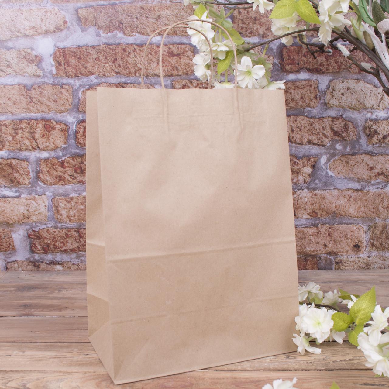 Бумажный пакет Карпаты средний 35х25 см (859-1)