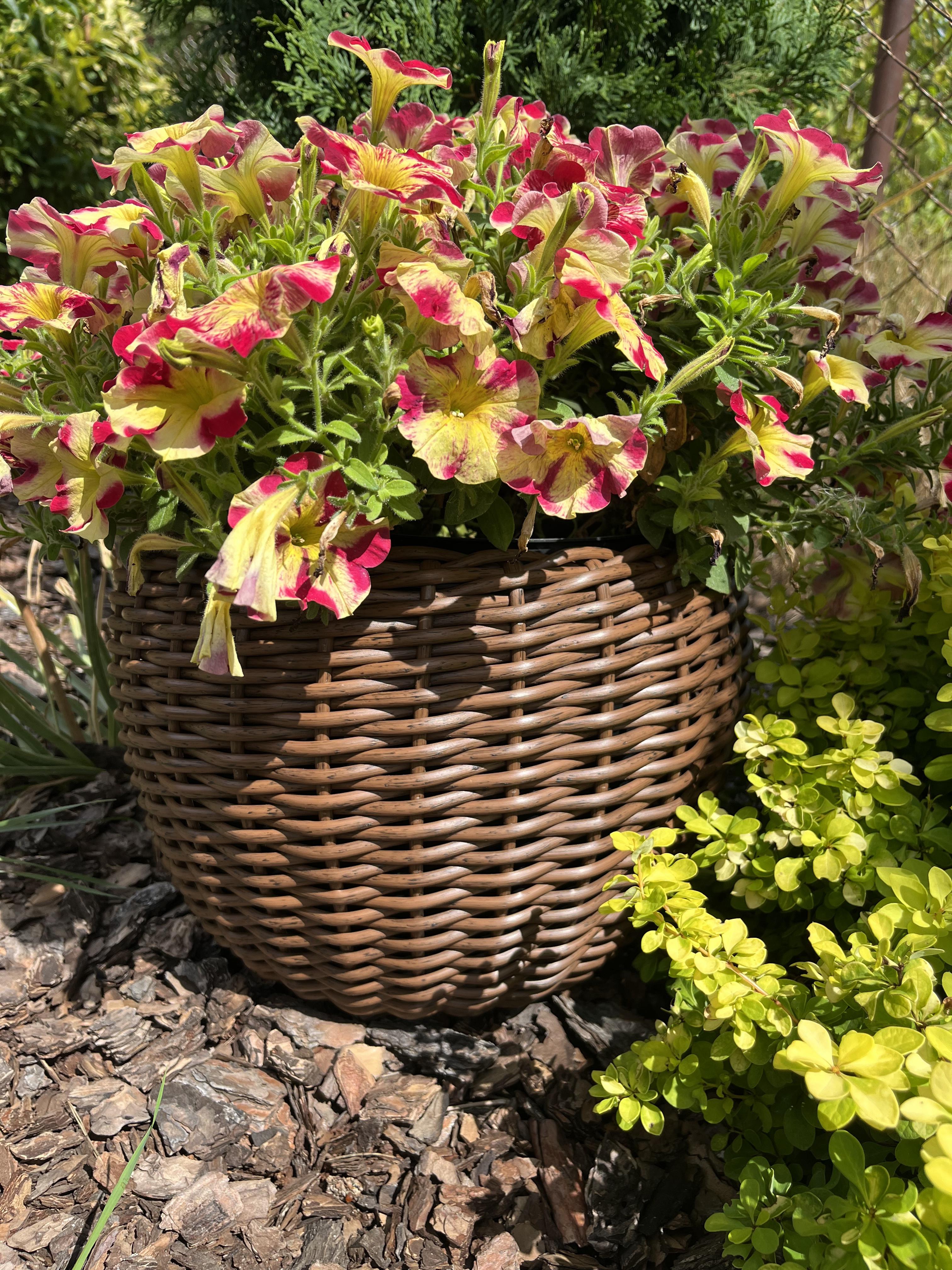 Кашпо для цветов из искусственного ротанга 12 л Темное дерево (27919394) - фото 1 Кашпо для цветов из искусственного ротанга 12 л Темное дерево (27919394) - фото 1