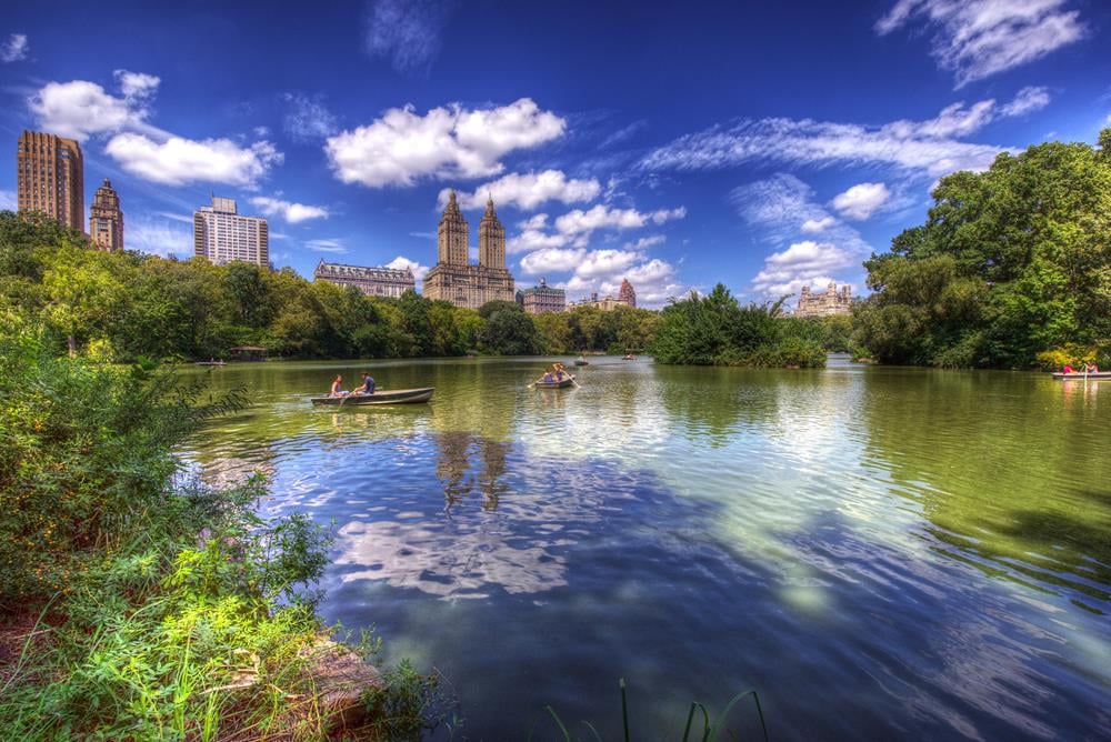 Картина Природа PR242 55х85 см