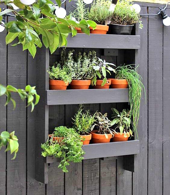 Полиця настінна для квітів з дерева Жуазейру Венге (ЦВС-005712)