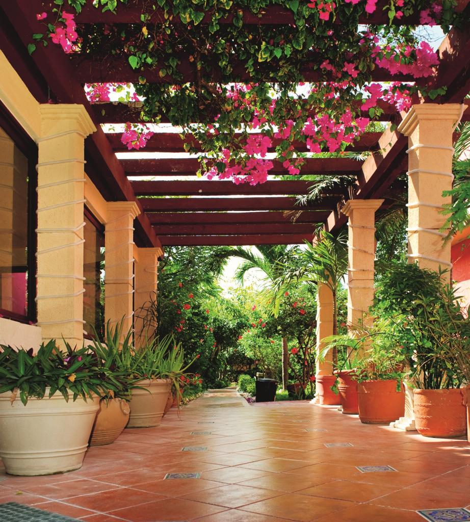 Фотообои флизелиновые 3D Цветы 225х250 см DIMEX Арочная терраса (MS-3-0045)