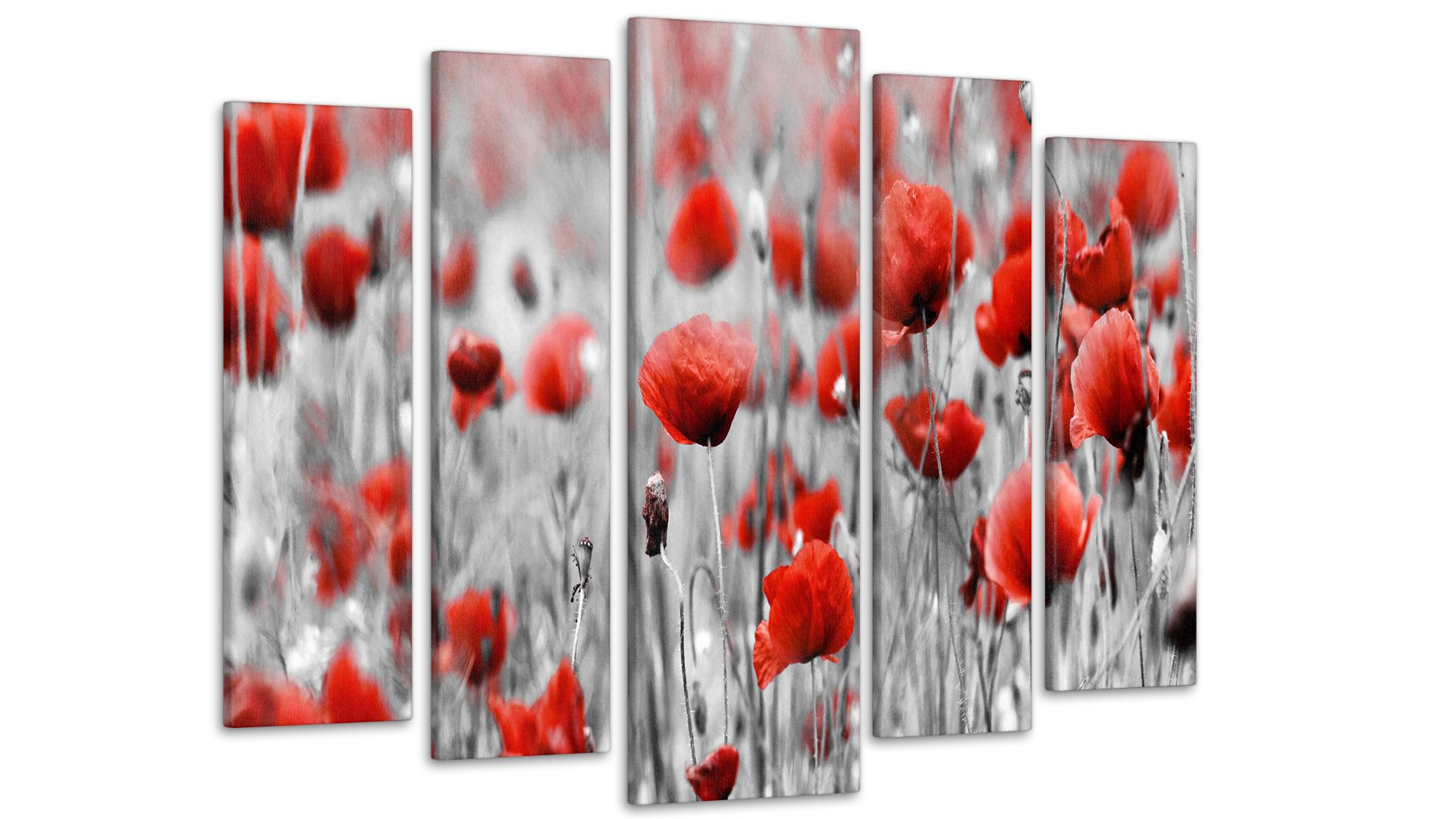 Модульная картина Маки 80х118 см (Art-129_5)