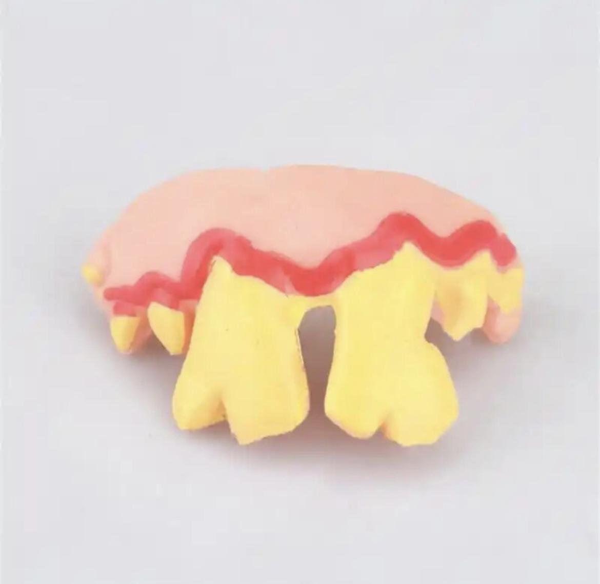 Аксессуары для собак Dental S Белый (32343)