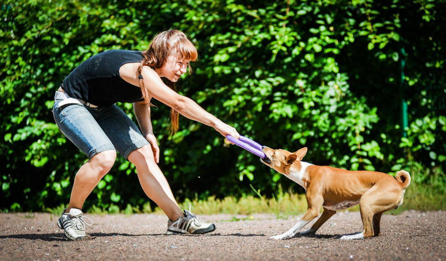 Тренировочный снаряд для собак Puller Midi 19,5 см (6488) - фото 18