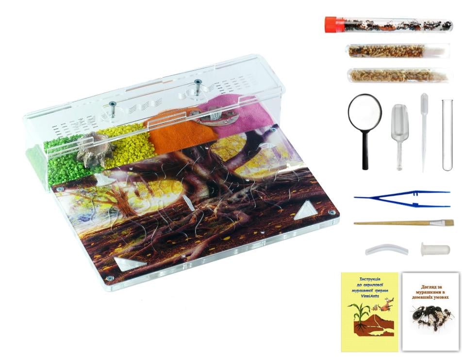 Муравьиная ферма VinniAnts вечное дерево