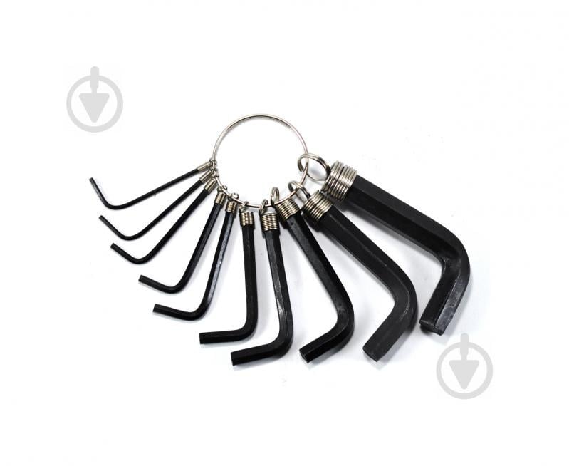 Набір Г-подібних шестигранних ключів на кільці 10 шт 1.5-10 мм Polax (25-011) Набір Г-подібних шестигранних ключів на кільці 10 шт 1.5-10 мм Polax (25-011)