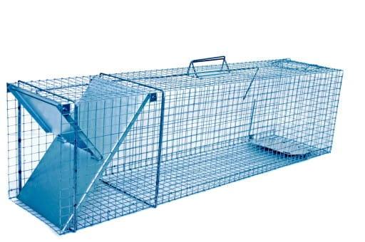 Ловушка металлическая для куниц/ласок/крыс/котов Zielonalapka 1 вход 102х29х31 см (2861492266)