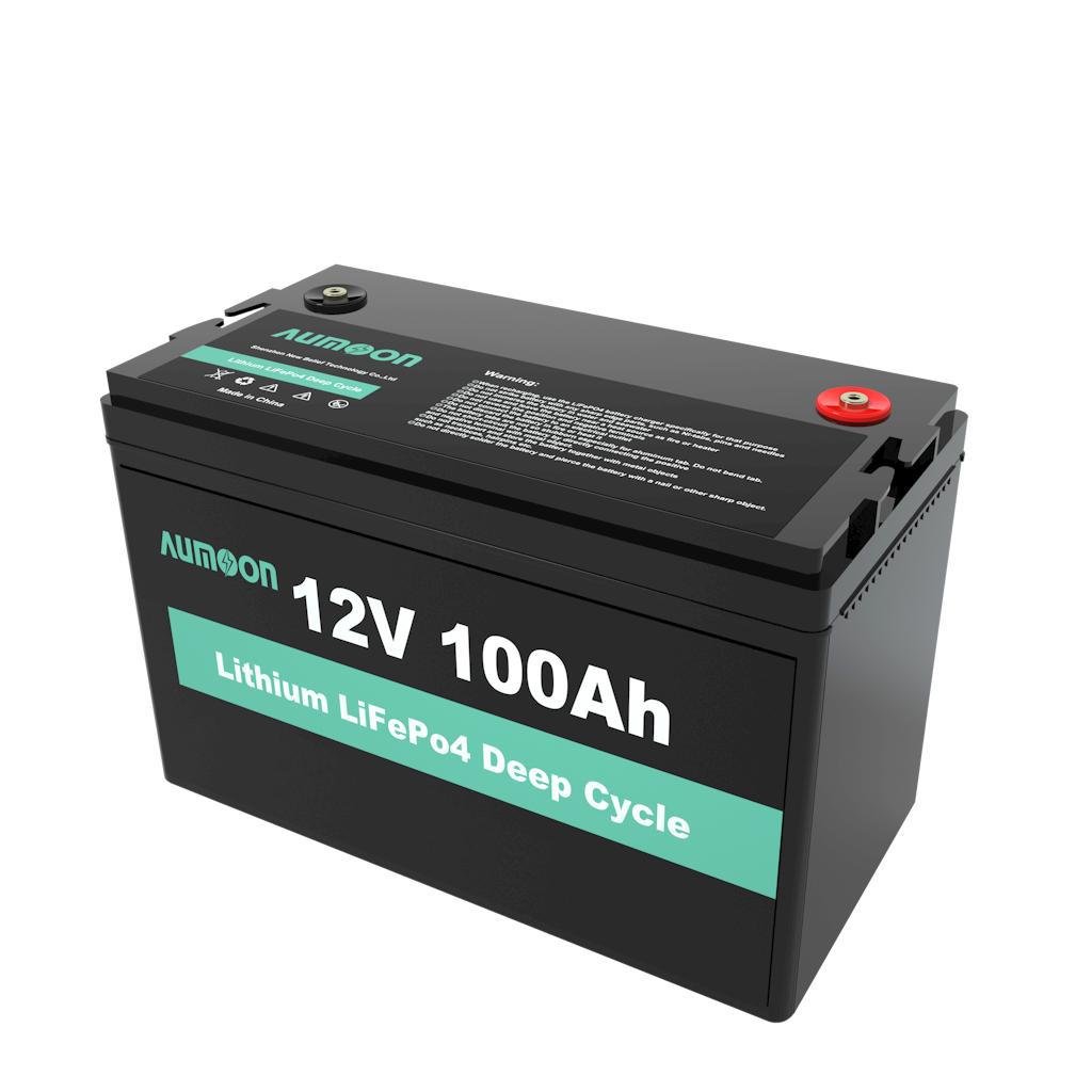 Акумулятор ENERSUN LiFePo4 12V 100AH із вбудованим BMS (1306) - фото 1