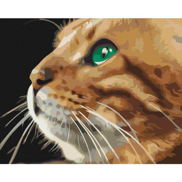 Картина за номерами Brushme Погляд рижулі 40x50 см (bs52377)
