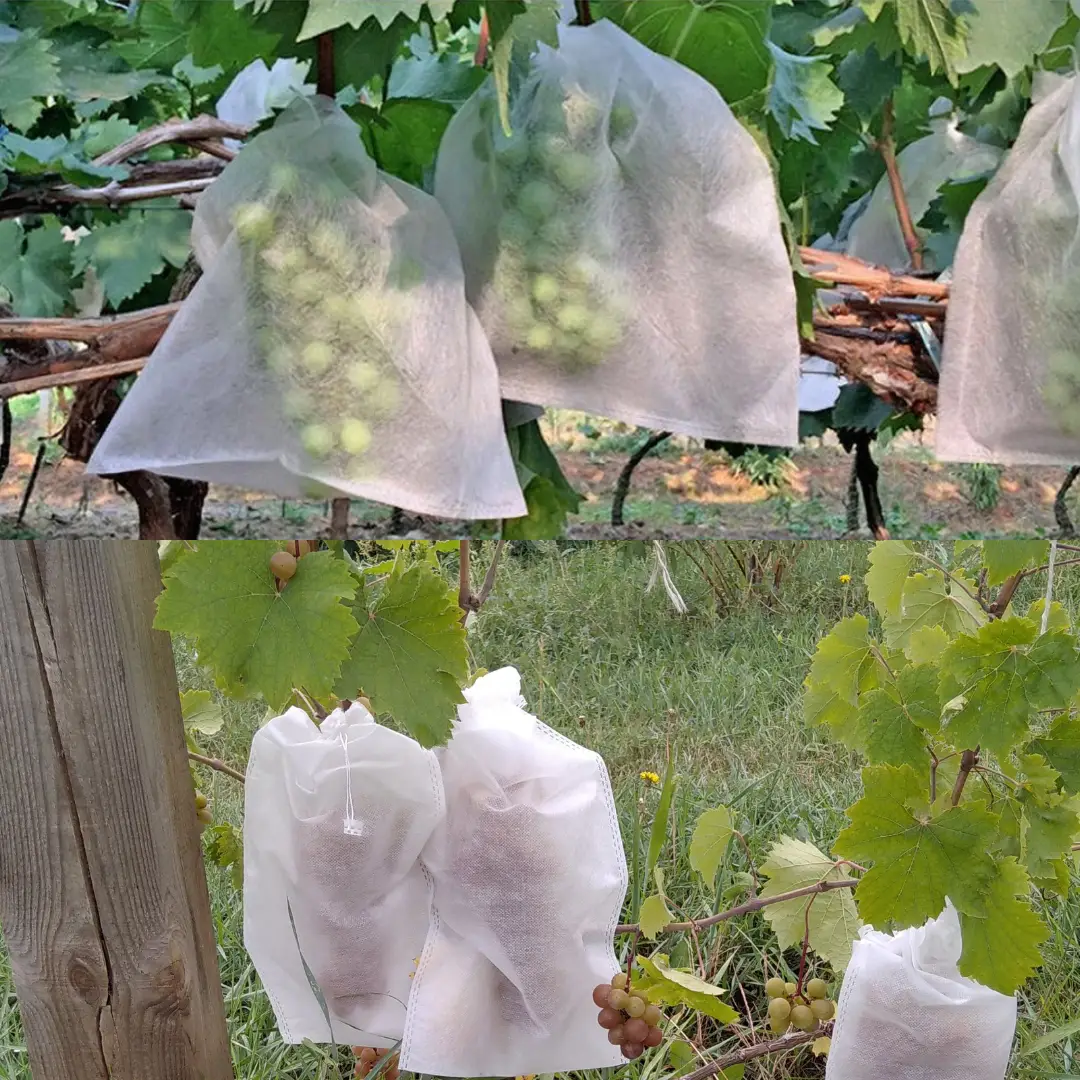 Мішечок від ос на виноград 2 кг 20х30 см (23936417) - фото 2 Мішечок від ос на виноград 2 кг 20х30 см (23936417) - фото 2