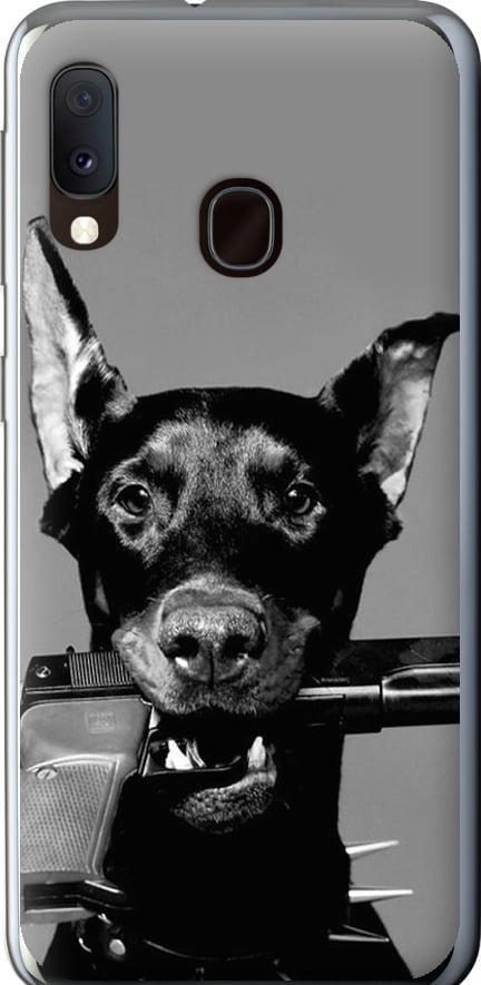 Чехол на Samsung Galaxy A20e A202F Доберман (2745t-1709-42517)