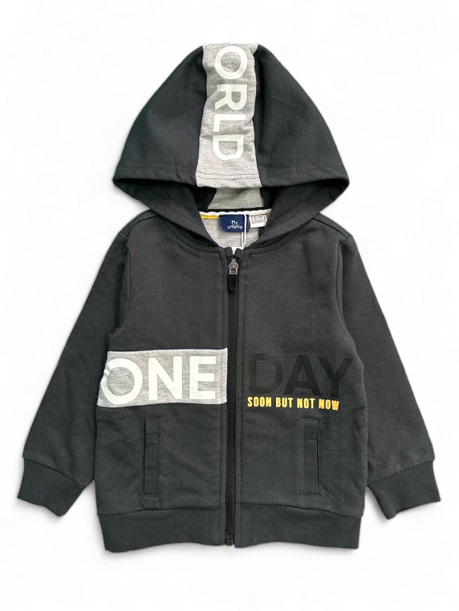 Кофта для мальчика Chicco на молнии с капюшоном 12-18 мес. 80 см Серый (2089553376)