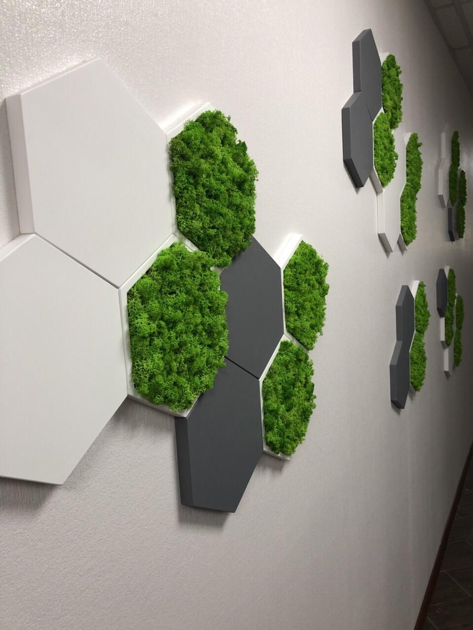 Панель гипсовая 3D Соты со стабилизированным мхом (1063) - фото 5 Панель гипсовая 3D Соты со стабилизированным мхом (1063) - фото 5