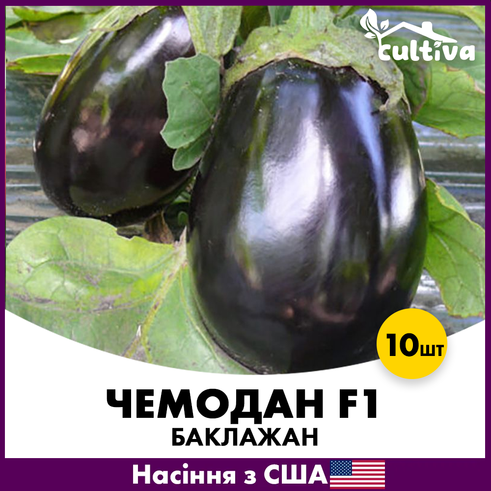 Семена баклажана Spark Seeds Чемодан F1 10 шт. (jkl18)