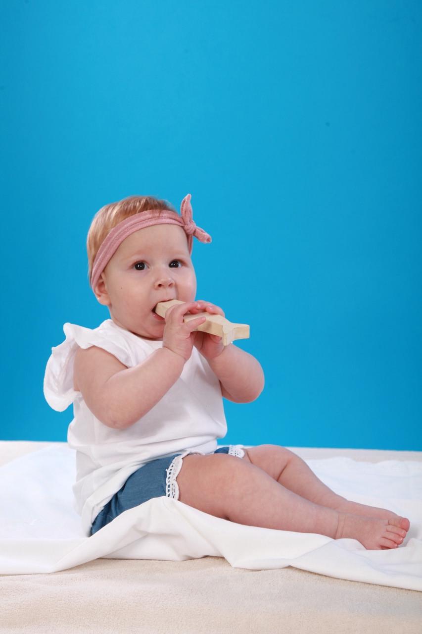 Грызунок HEGA Моторика (163) - фото 2 Грызунок HEGA Моторика (163) - фото 2