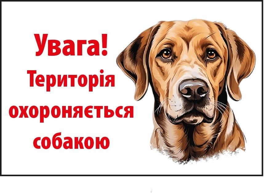 Табличка "Територія охороняється собакою" с рисунком Белый (д-9269)