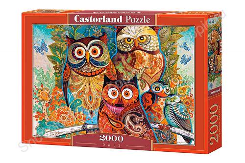 Пазл Совы художника 2000 элементов (C-200535-CS)