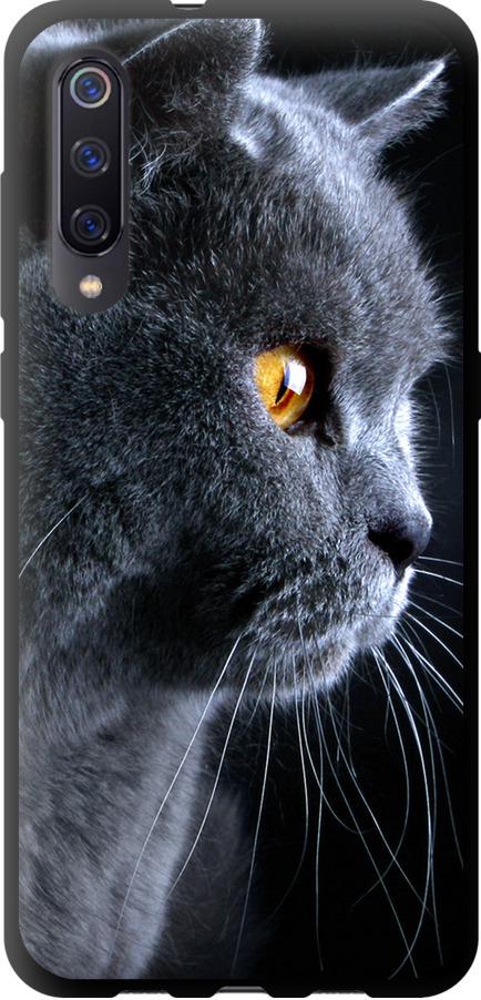 Чехол на Xiaomi Mi9 Красивый кот (3038b-1648-42517)