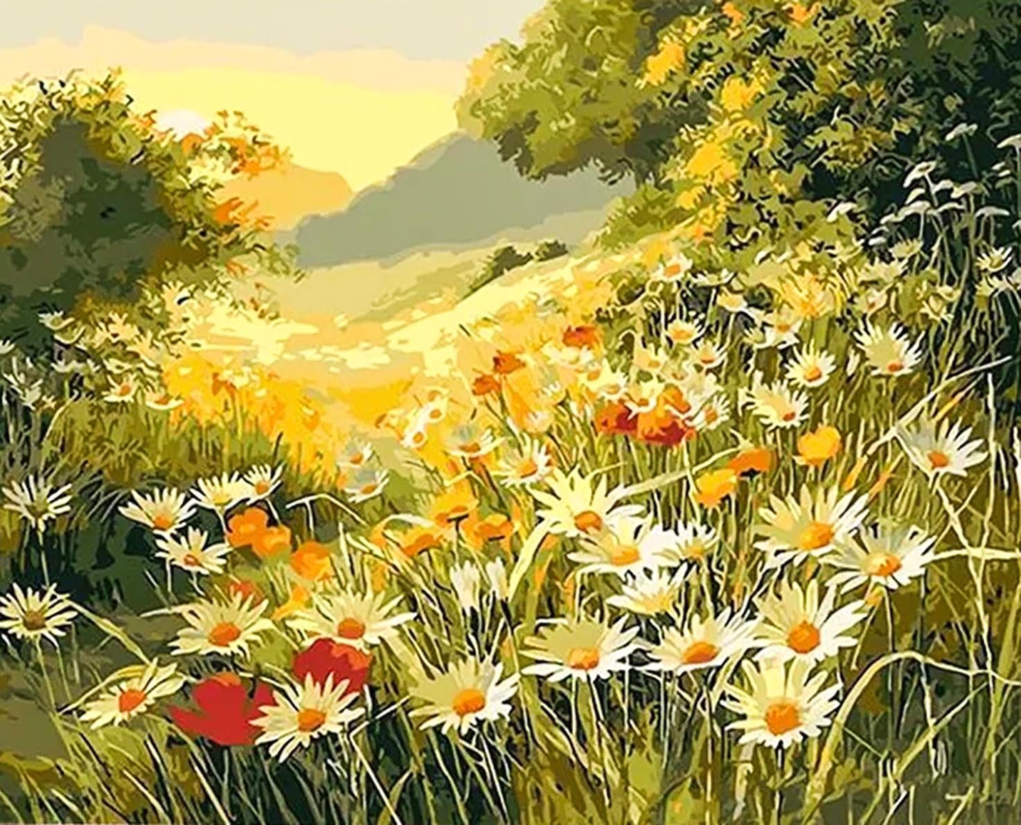 Картина по номерам "Ромашковое поле" 50х40 см (РНК-491)