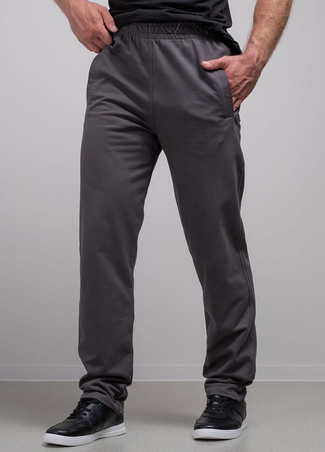 Спортивные штаны мужские Power 102655 L Серый