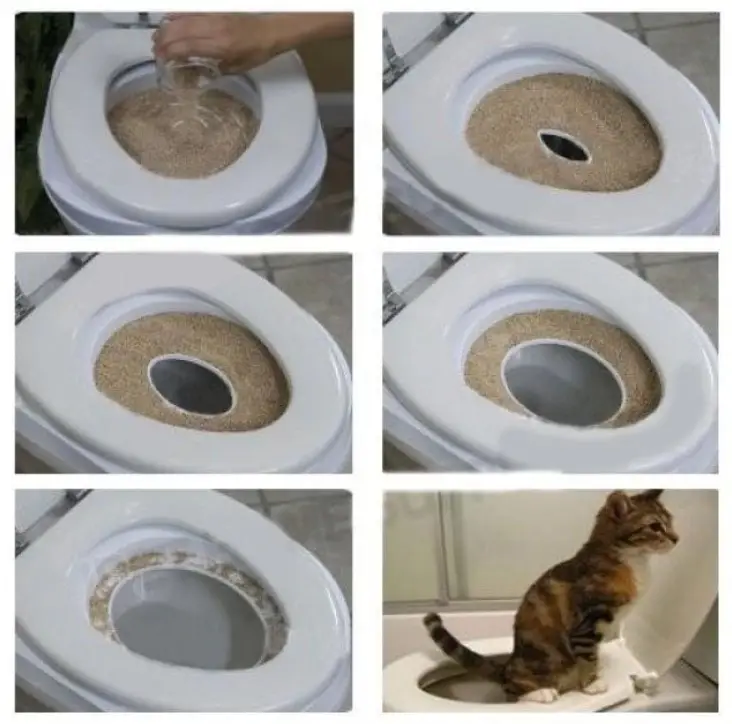 Система приучения котов к унитазу Citi Kitty Cat Toilet Training 8631 38,5х40х4,5 см Белый (576033) - фото 3