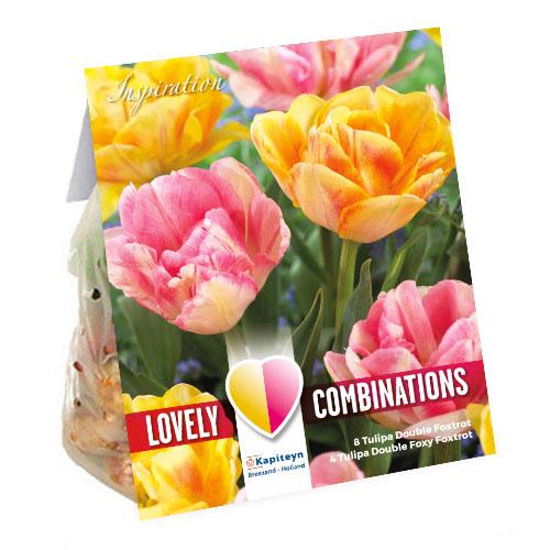 Комбо Florium KAPITEYN Тюльпаны Double Orange Pink (15300)