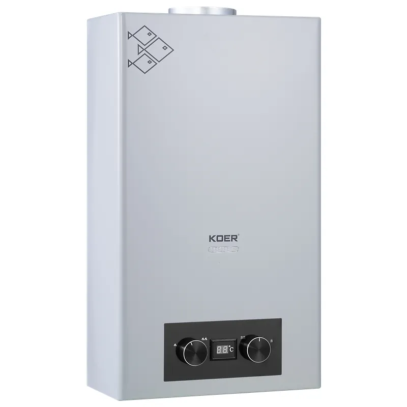 Газовая колонка KOER KWH.G0110 GRAY дымоходная 10 л/мин Серый (KR5555)