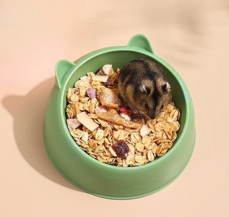 Миска для кормления кошек и грызунов устойчивая с ушками пластиковая 13x7 см Зеленая (D-0079) - фото 2 Миска для кормления кошек и грызунов устойчивая с ушками пластиковая 13x7 см Зеленая (D-0079) - фото 2