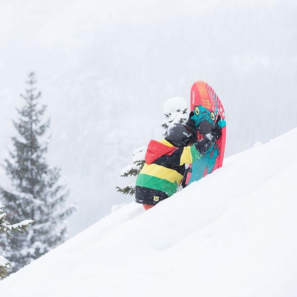 Санки-снігосерфер HAMAX Free Surfer з малюнком снігового монстра (5842321) - фото 2