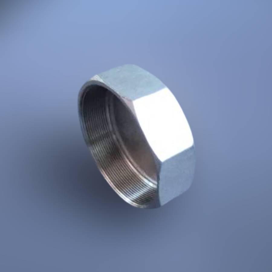 Заглушка восьмигранна DN100 BSPP н/ж сталь AISI304 Class-150 внутрішня різьба 4" (29203214) - фото 11 Заглушка восьмигранна DN100 BSPP н/ж сталь AISI304 Class-150 внутрішня різьба 4" (29203214) - фото 11