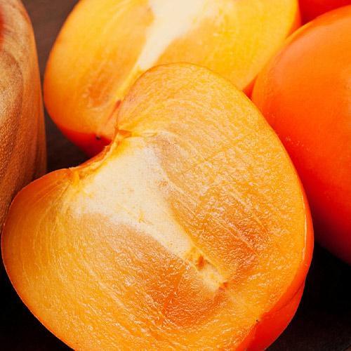 Сажанец Хурма на виргинском морозостойком подвое Шарон высший сорт (50085)