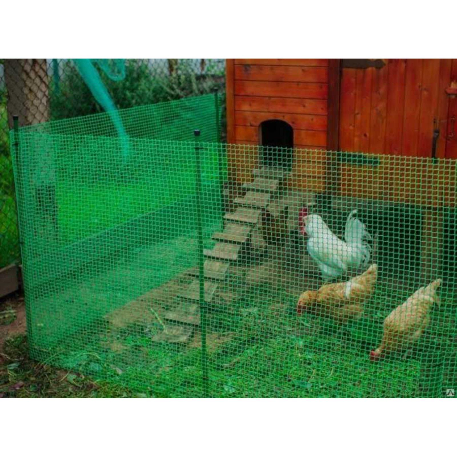 Сетка защитная от птиц Пташка 1,5x100 м ячейка 12х14 мм Зеленый (27843797) - фото 15 Сетка защитная от птиц Пташка 1,5x100 м ячейка 12х14 мм Зеленый (27843797) - фото 15