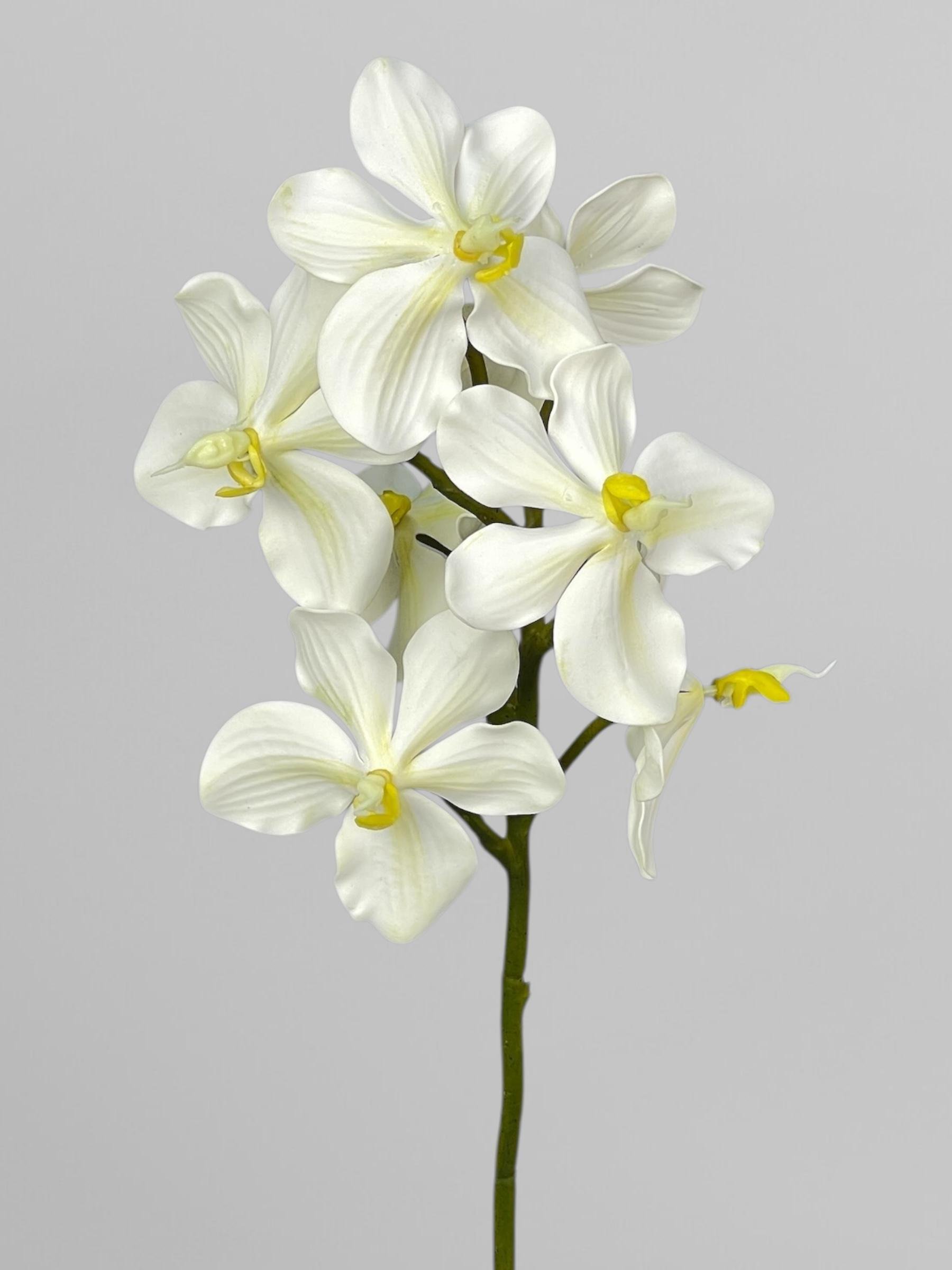 Искусственная орхидея Ванда 62 см Белый (К01187)