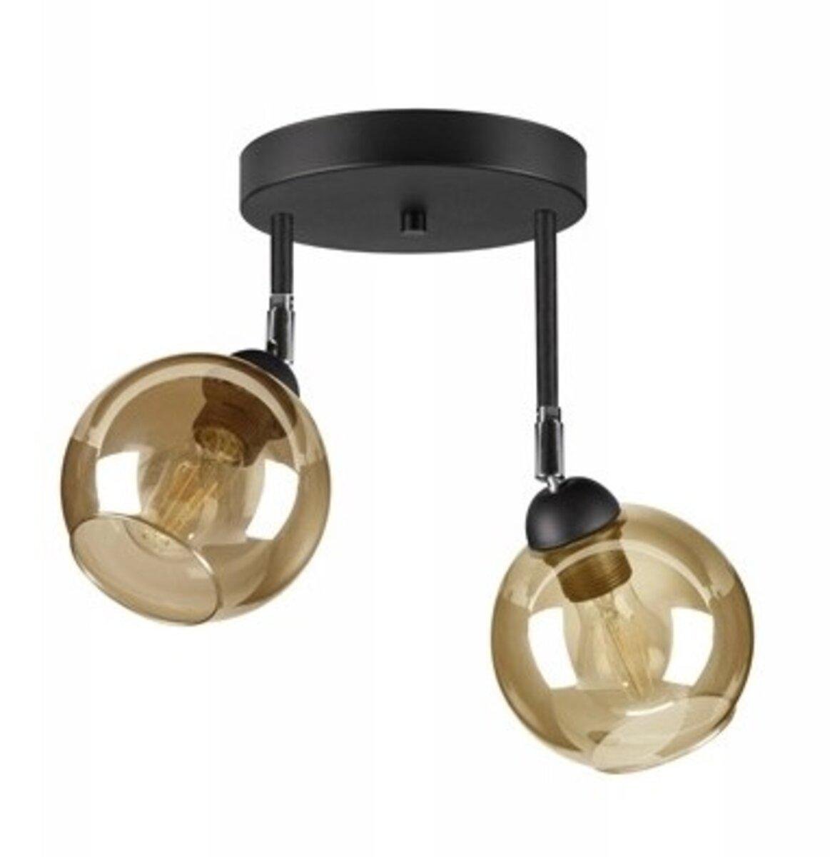 Светильник потолочный Lighthouse SRS-19665/2 BK/BR с поворотным механизмом Черный/Коричневый