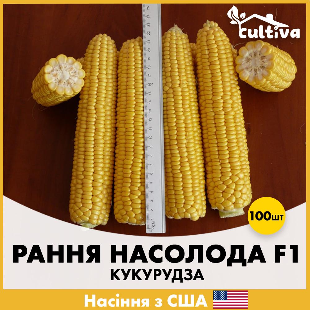 Семена кукурузы Spark Seeds Раннее Наслаждение F1 100 шт. (R51124)