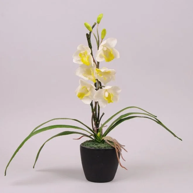 Декорация цимбидиум Flora Белый (7344)