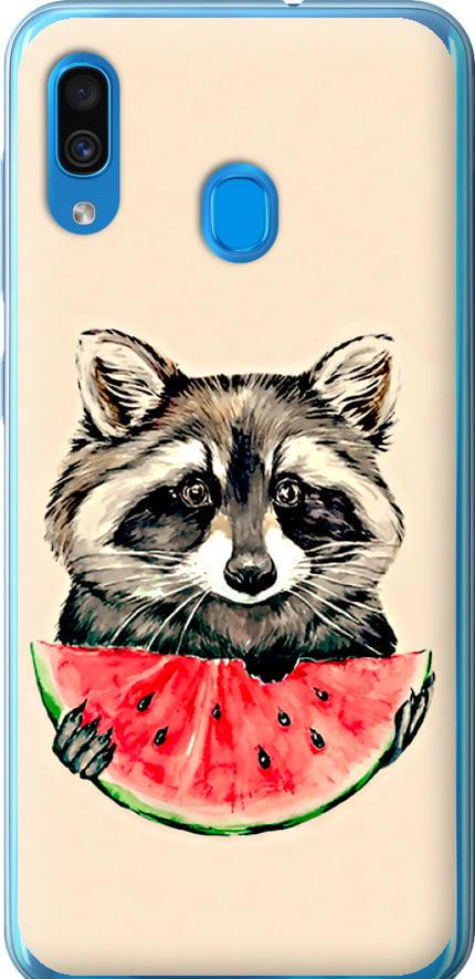 Чехол на Samsung Galaxy A20 2019 A205F Енотик с арбузом (4605u-1761-42517)